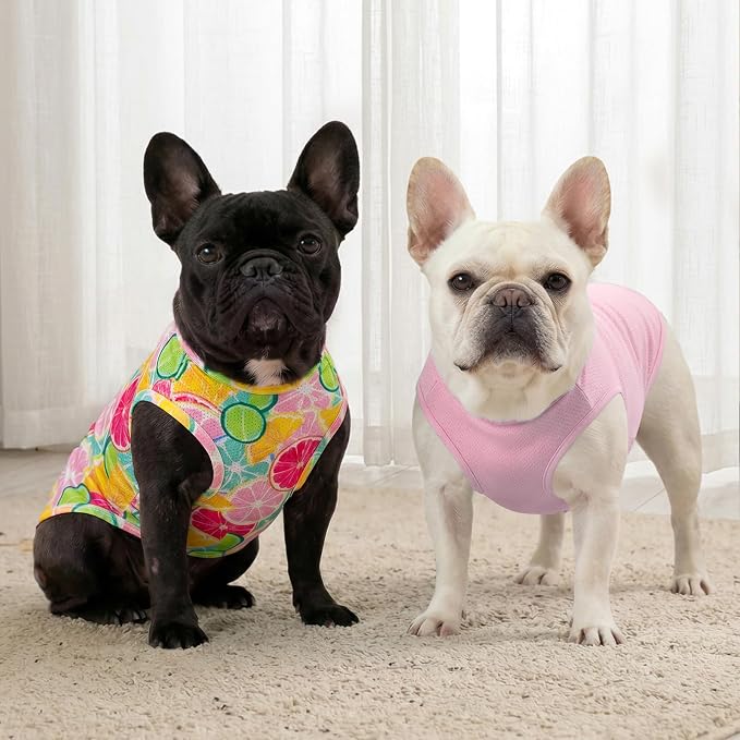 KYEESE 2Pack Dog Shirt, Lightweight Sun Protection Dog T Shirts for Small Medium Dogs Girl, Breathable Mesh Tank Top Sleeveless Pet Reflective Vest, Soft Summer Dogs Clothes, Lemon+Pink, XL