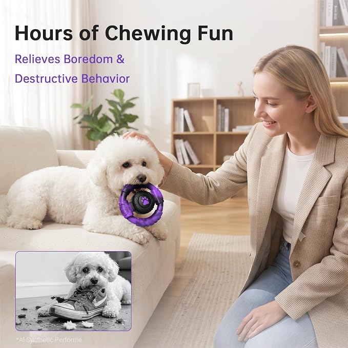 Pamlulu Small Dog Chew Toy, Tough Squeaky Puppy Chew for Small Breeds, Rubber and Nylon Design, Indoor and Outdoor Play, Birthday Gift