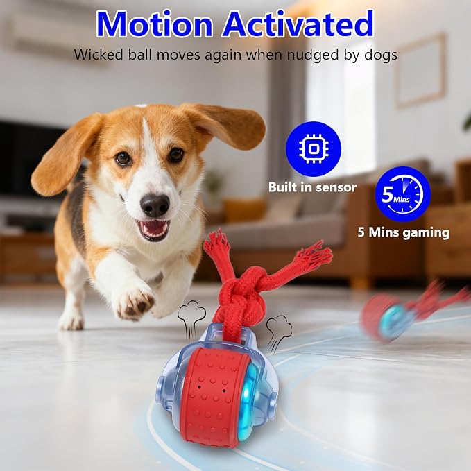 Oxawo Interactive Dog Toys Pet Busy Balls Moving Wiggles Ball | Motion Activated Rolling Ball, Rechargeable Dog Toy with 3 Modes, Keep Dogs Busy for Medium & Small Puppies