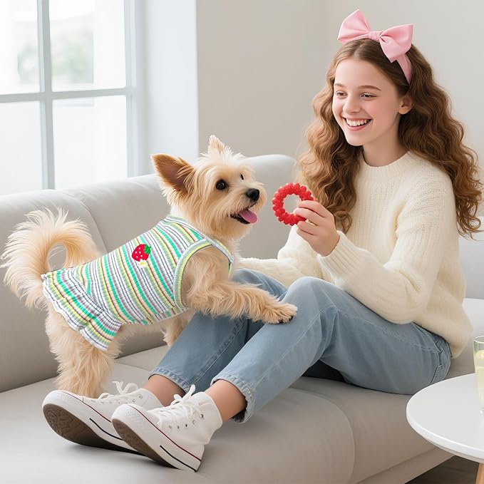 Cute Small Dog Dress Girl Female Dog Clothes Spring Summer Pet Puppy Cats Striped Dress Outfits for Shih Tzu Yorkies Chihuahua Maltese(Strawberry Green,Medium)