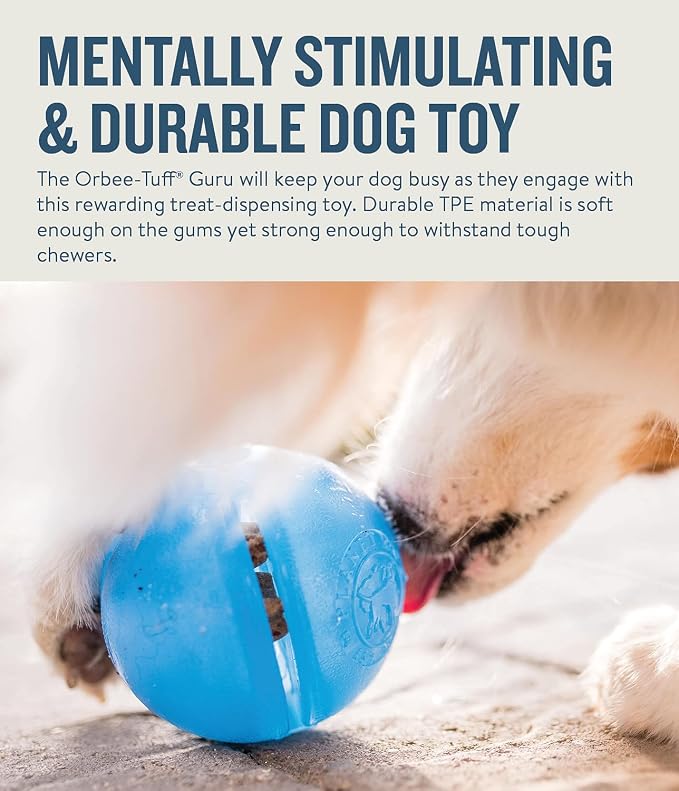 Outward Hound Guru Treat-Dispensing Puzzle Ball Dog Toy, Blue