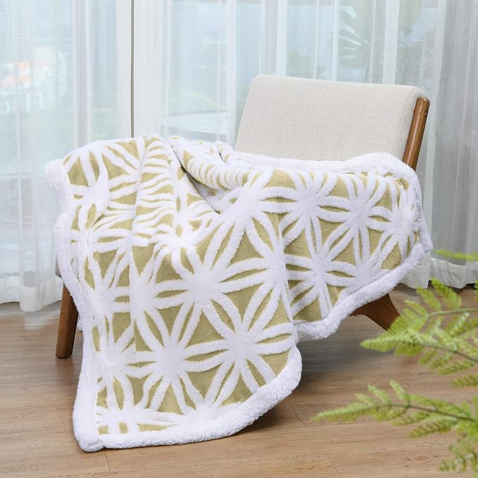 LOMAO Sherpa Fleece Blanket Gifts for Mom Dad Cozy Soft Throw Blanket for Women Men Birthday Gifts Dual Sided Couch Sofa Bed Blanket (Fruit Green, 60''x80'')