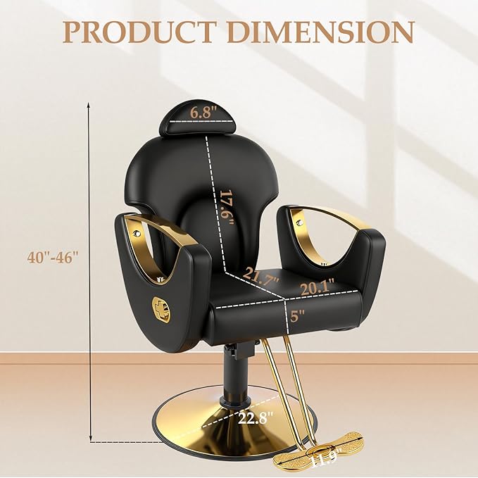 Black Salon Chair for Hair Stylist, Professional Barber Chairs Barbershop Hair Stylist Chair with Heavy Duty Hydraulic Pump, 360° Braiding Styling Hairdresser Chairs for Spa Home Euipment, Cold Black