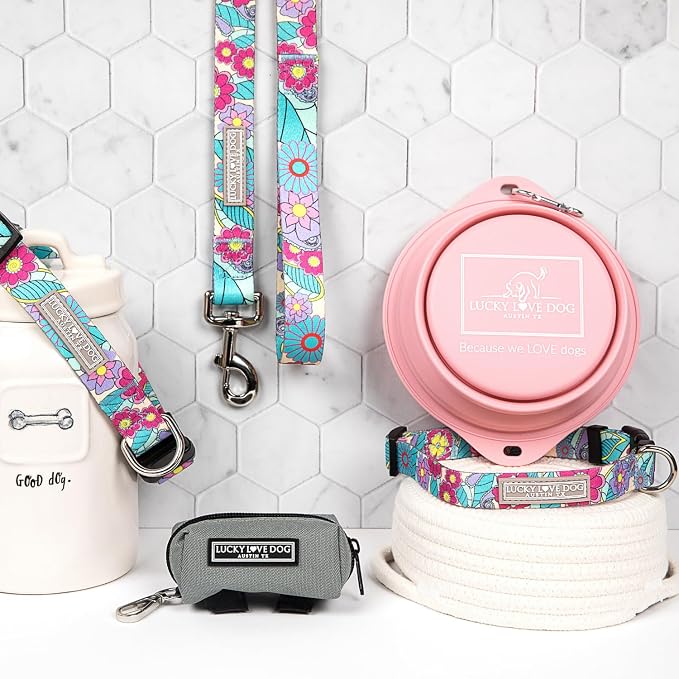 Lucky Love Dog Martingale Collar & Leash Set No Slip Cute – Caroline, Large