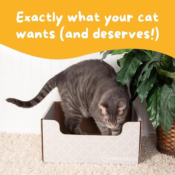 Hide & Scratch Cardboard Cat Scratcher Box & Bed Light Grey Diamond Pad