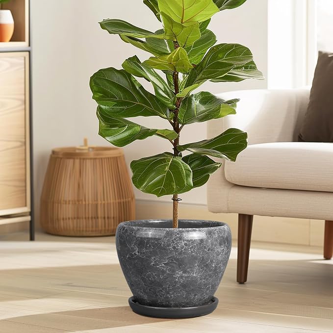 Ceramicfor 8 Inch Plant Pot - Ceramic Planter Pot with Drainage Hole and Saucer, Glaze Garden Pot Modern Flower Pot for Indoor Plants, Gray
