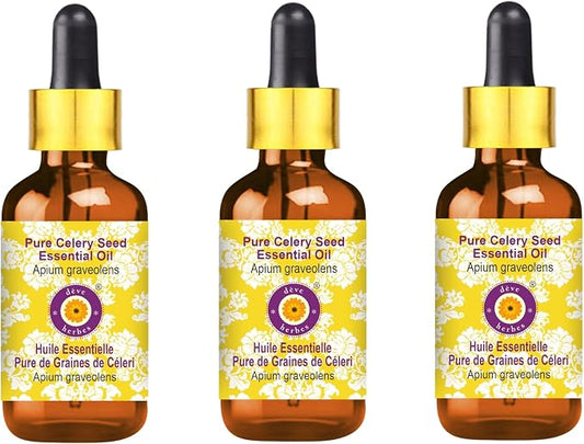 Deve Herbes Pure Celery Seed Essential Oil (Apium graveolens) with Glass Dropper Steam Distilled (Pack of Three) 100ml X 3 (10 oz)