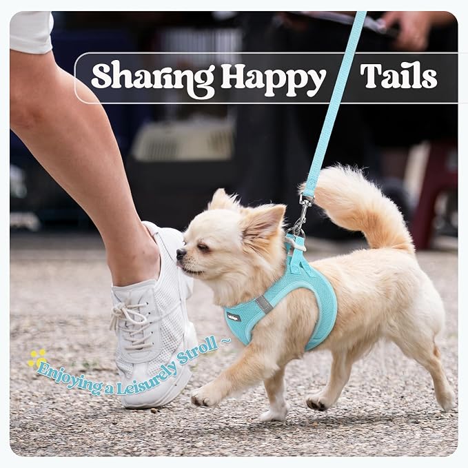 rabbitgoo Dog Harness Medium Sized and Leash Set, Step-in Puppy Pet Vest | Light, Soft, Breathable Air Mesh, Easy on and Remove with Hook & Loop, Secure Reflective for Walking, Mint Blue XL
