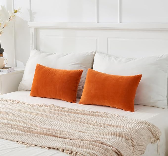 Throw Pillow Covers Burnt Orange Set of 2 12x20 Inch Fall Pillow Covers, Soft Velvet Farmhouse Neutral Lumbar Decorative Pillowcases for Couch Sofa Bed, Home Boho Decor, Modern Cushion Covers