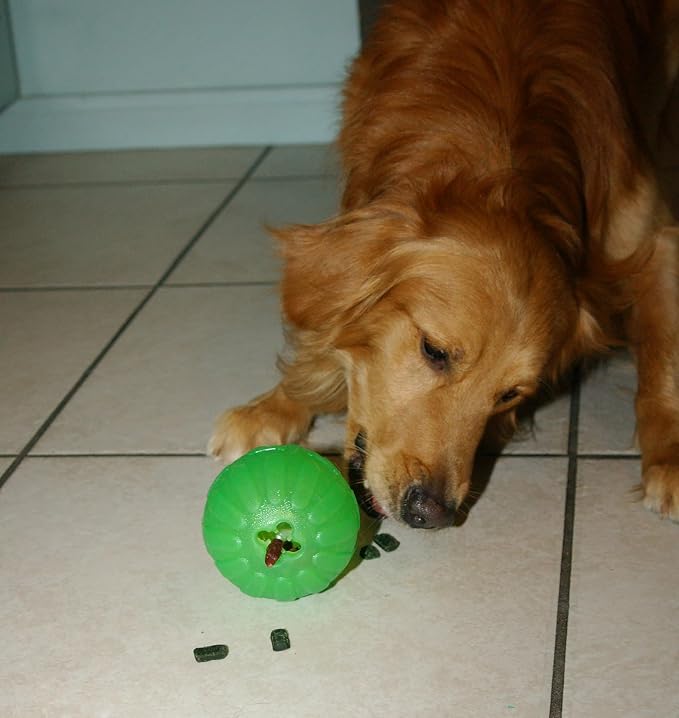 Treat Dispensing Chew Ball, Medium