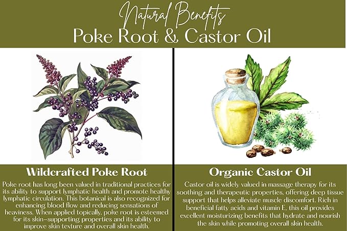 Poke Root & Castor Oil Salve -1oz- Cysts, Boils, Fibroids, Swollen Lymph Nodes, Breast & Joint - Vegan Lymphatic Support Massage Balm - Natural Deep Tissue Relief Ointment Handmade in The USA