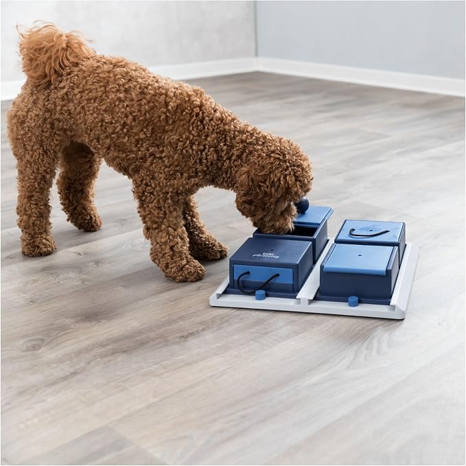 TRIXIE Poker Box 1 Dog Activity Interactive Toy, Level 2 Food Puzzle Game, Brain Teasing Treat Dispenser, IQ and Mental Development Toy for Smart Dogs, Enrichment Toy for Boredom Busting