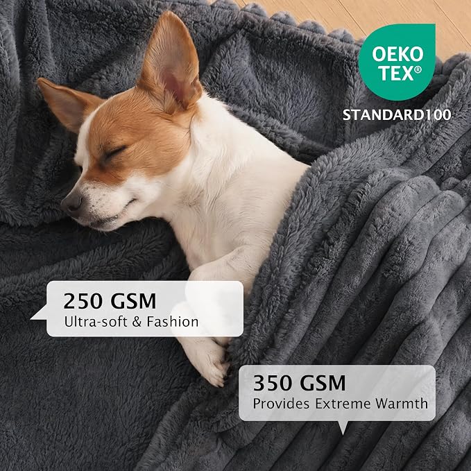 PuTian Waterproof Dog Blanket for Couch, 60"x80", Dark Grey | Blocks Urine, Stains and Pet Hair to Guard Furniture, Perfect For Dogs & Cats On Couch, Bed, Car And Travel