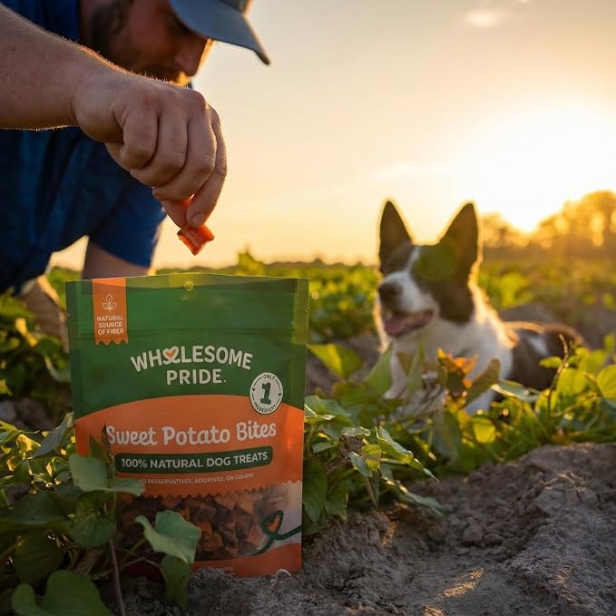 Wholesome Pride Sweet Potato Bites Healthy Dog Treats, 1 Ingredient, 8 oz | No Preservatives, 100% Sweet Potato, Gently Dehydrated, Supports Digestion, No Grain or Gluten, Training & Snacking