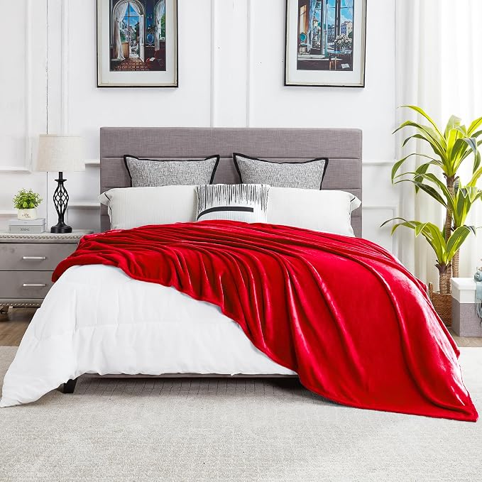 DREAMNINE Ultra Large Soft Fuzzy Flannel Fleece Blanket Queen Size 90" x 90", Decorative Solid Lightweight Fluffy Velvet Bed Blanket,Luxury Big Cute Cozy Shag Plush Microfiber Blankets for Bedroom,Red