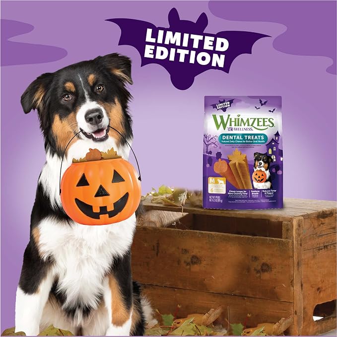 Wellness WHIMZEES Fall Natural Dog Dental Treat, Autumn Halloween Seasonal Gift, Chews, Freshens Breath, Medium Size, 6.3 oz Bag, 6 Count