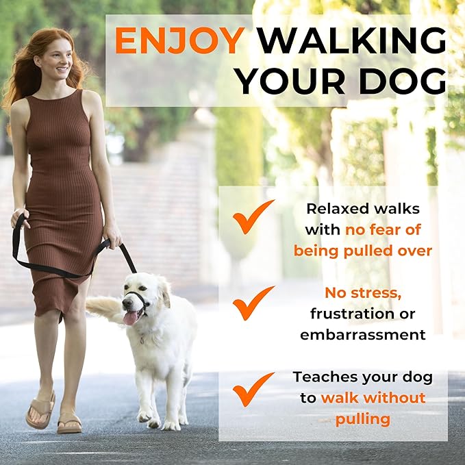 Canny Gentle No-Pull Dog Training Head Collar to Stop Pulling Purple Size 5