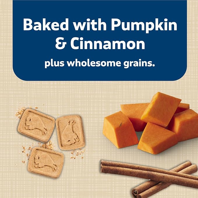 Blue Buffalo Health Bars Pumpkin & Cinnamon Crunchy Dog Biscuits, Oven-Baked with Pumpkin & Natural Ingredients, Healthy Dog Treats with No Artificial Flavors or Preservatives, 16 oz. (Pack of 4)