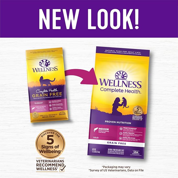 Wellness Complete Health Adult Dry Cat Food for Indoor Cats, Natural, Grain Free Kibble, Salmon and Herring Meal Recipe, 5.5 lb Bag