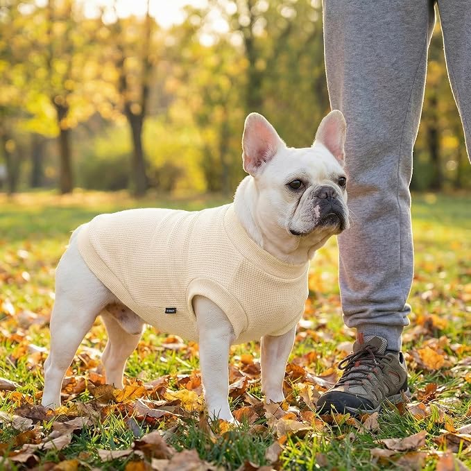 3 Pack Dog Shirt for Small Supplies Functional Waffle Dog Clothes Warm Soft Sweatshirt Outfit for Dogs Cats Pet Apparel