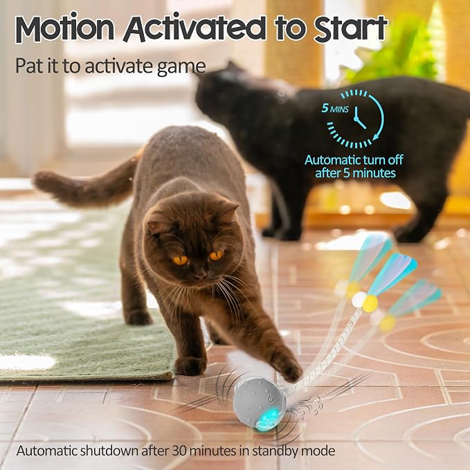 Interactive Cat Toys Ball,Automatic Moving Ball Toy,Rechargeable