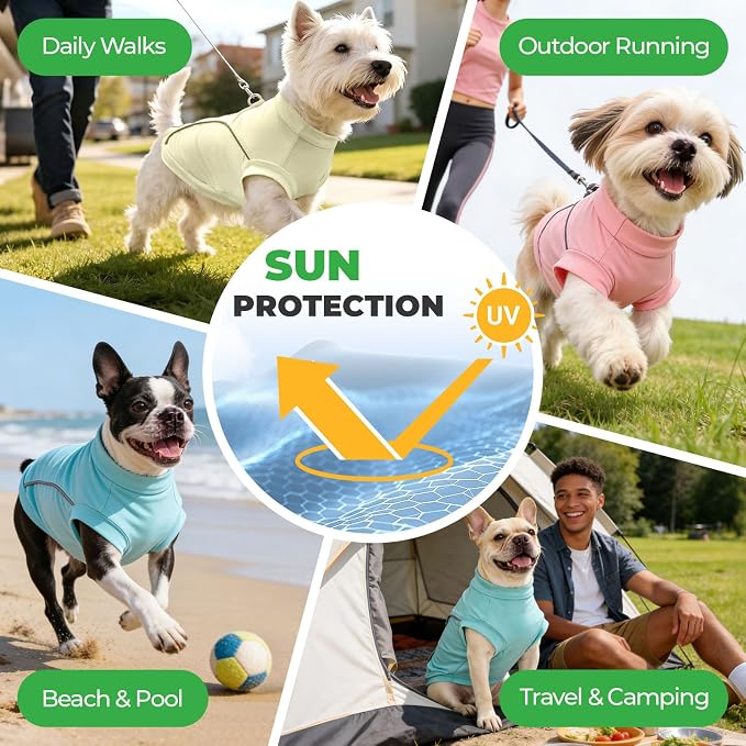 ABRRLO 3-Pack Reflective Dog Shirts for Small Medium Dogs Sun Protection Lightweight Puppy Cat T-Shirt with D-Ring,Soft Stretchy Dog Cooling Vest Cute Puppy Clothes Girl Summer Pet Outfits