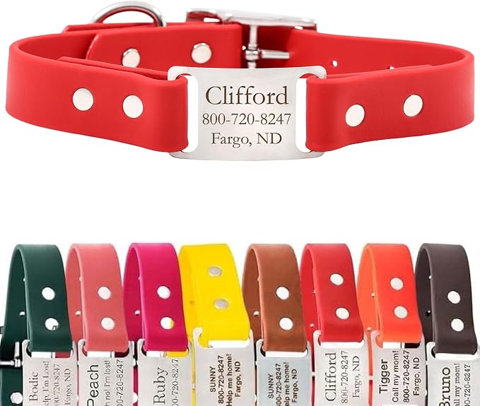 dogIDs Personalized Dog Collar – ScruffTag Custom Waterproof Biothane Dog Collar with Laser-Engraved Name, Durable & Odor-Resistant – USA Made | Red, 1 in x 16 in (Fits Neck Sizes 14-18 in)