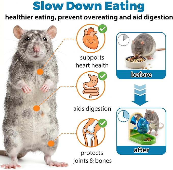 Rat Enrichment Foraging Toy, Intelligent Treat Dispensing Puzzle