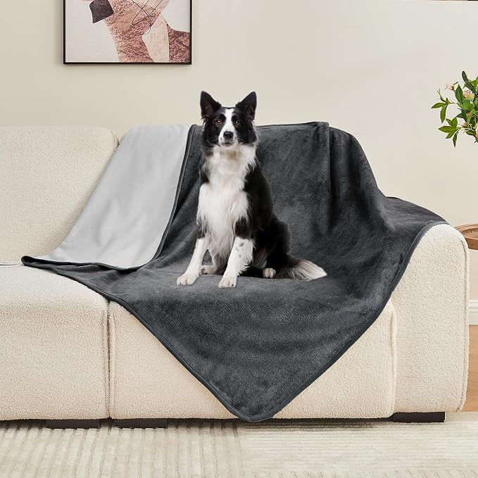 Waterproof Blanket Bed Cover 60"x80" for Adults or Pets, Dark Grey | Soft Pet Blanket for Dogs Cats, Reversible Leakproof Blanket for Bed Couch Sofa, Furniture Protector