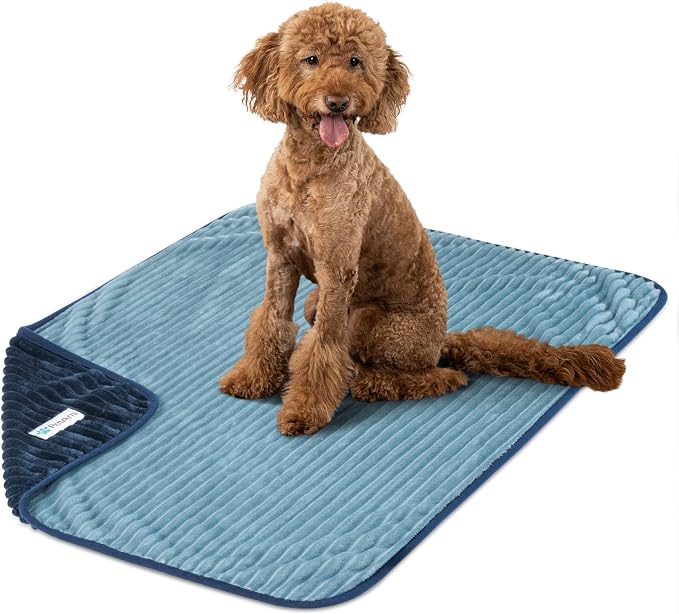 PetAmi Waterproof Dog Blanket, Leakproof Pet Blanket for Small Medium Large Cats, Soft Plush Reversible Sofa Couch Cover Protector, Washable Puppy Throw for Bed Crate, 40x60 in, Navy Blue