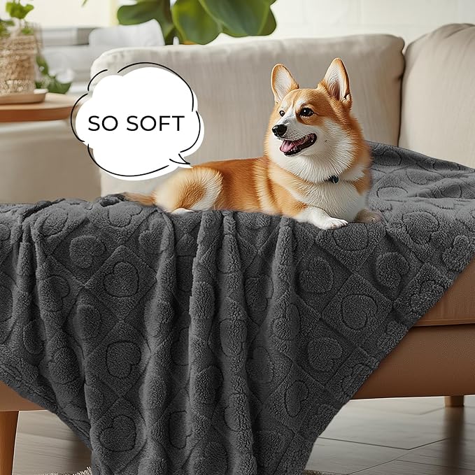 Luciphia Small Dog Blanket Washable Pet Bed Cover Soft Fluffy Puppy Blanket with Premium Fleece 300GSM Cozy Calming Cat Blankets for Indoor Cats Grey 41x31 inch | Pink Blanket Washable for Medium/Large Dogs, Cute Cover on Bed Couch Crate Car, Puppy Ess...