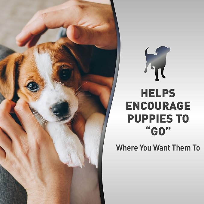 Nature's Miracle Advanced Platinum Puppy Potty Training Spray, 8 oz | Helps Encourage Puppies To Go Where You Want, Lasts Up To 12 Hours, For Indoor & Outdoor Training