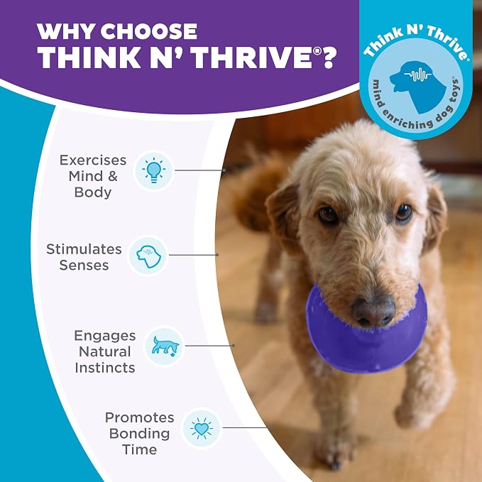 Outward Hound Lil' Snoop Interactive Treat Dispensing Dog Toy, Purple, 3.9" | Rolls & Bounces, Treat Stuffer, Puzzle Ball & Slow Feeder, Mint Scented, Easy Clean, No BPA, Enrichment, Small to Medium Dogs