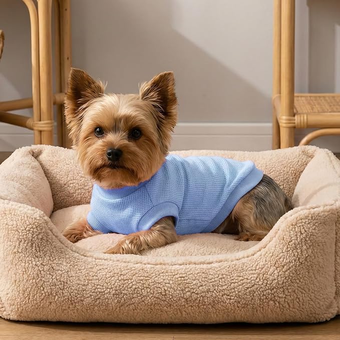 3 Pack Dog Shirt for Small Supplies Functional Waffle Dog Clothes Warm Soft Sweatshirt Outfit for Dogs Cats Pet Apparel