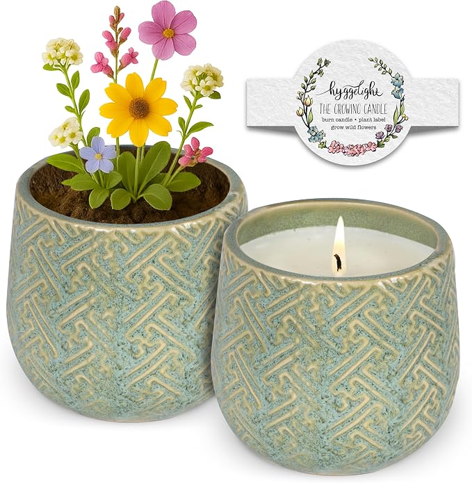 Hyggelight - The Growing Candle, Chai Scented, 10oz Ceramic Pot, Aromatherapy Candles for Home, 100% Soy, Ida