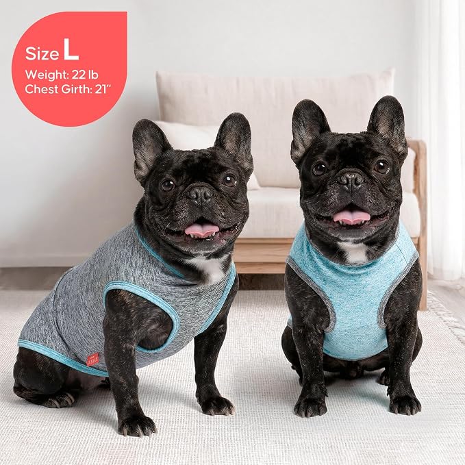 KYEESE 2Pack Dog Shirt for Small Dogs Sun Protection Tank Top for Summer | Reflective for Safety, Lightweight & Breathable, Shedding Control, Skin-Friendly for Sensitive Dogs, Easy On/Off, Quick Dry