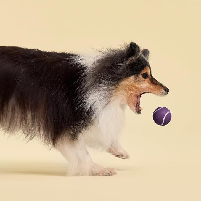 Playology Squeaky Chew Ball Dog Toy - Small, Bacon Scent, 3-Pack