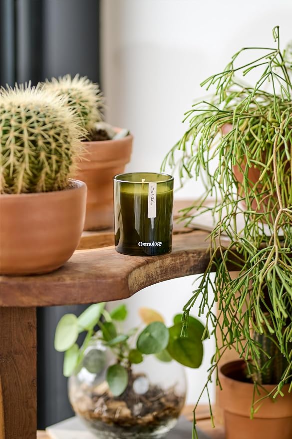 Black Oak Aromatherapy Candle – Bergamot, Cardamom & Oakmoss Scented Candle, Plant-Based Wax, 7 oz, 45 Hour Burn Time, Warm & Woody Candle