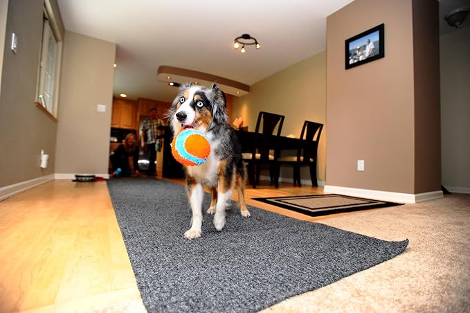 Chuckit! Indoor Fetch Ball Dog Toy, 4.75in, Orange and Blue