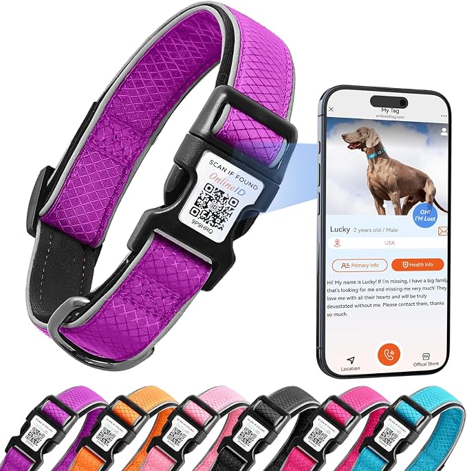 Reflective Dog Collar with QR Code Tag, Purple, L (15.7"-23.6")