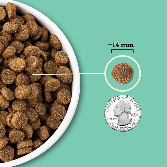 ACANA Wholesome Grains Dry Dog Food Lamb & Pumpkin 4lb Bag | Freeze Dried, High Protein, Made in the USA, Includes Probiotics, Omega-3 Fatty Acids, Global Quality Ingredients