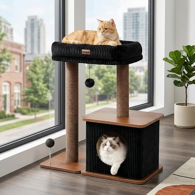 Small Cat Tree for Indoor Kittens, 30" Compact Modern Cat Tower | Natural Bamboo Cozy Condo, Soft Padded Perch, Sisal Scratching Post, Dangling Ball Toy, Stable Base, for Cats up to 15 lbs