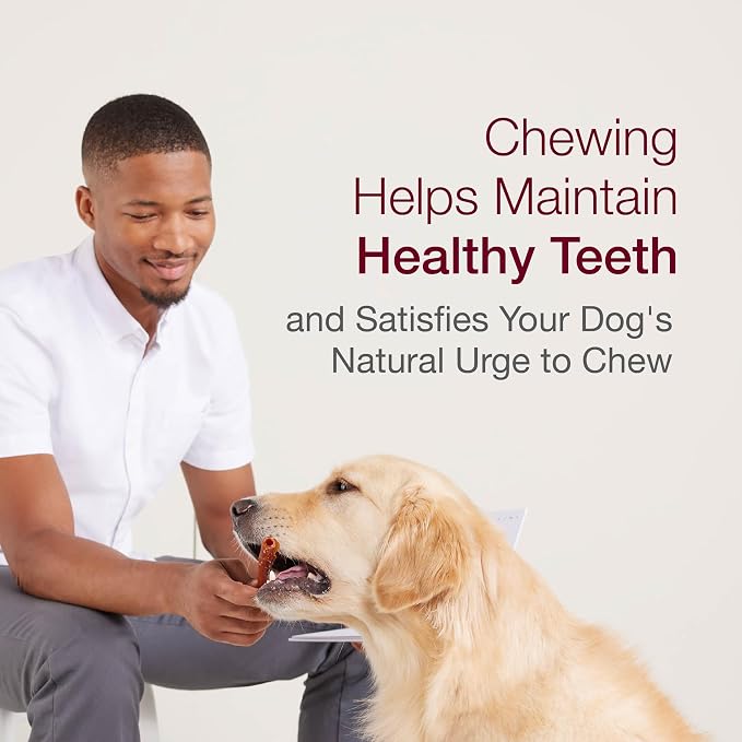 SmartBones SmartSticks Rawhide-Free Dog Treats, Real Beef, 10 Count | With With Real Beef & Chicken, Easy To Digest Chew, Vitamin & Mineral Enriched, Helps Maintain Healthy Teeth, For Small Dogs