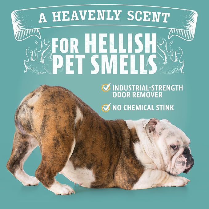 Angry Orange Pet Odor Eliminator for Dog and Cat Urine, Carpet Stains, and Strong Smells – Orange Rush Scent Cleaner – 1 Gallon