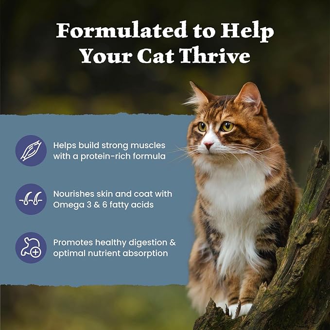 Blue Buffalo Wilderness Chicken Adult Dry Cat Food, Grain-Free, 15 lb | Real Chicken #1 Ingredient, High Protein Nutrition, Supports Immunity with Antioxidant-Rich LifeSource Bits