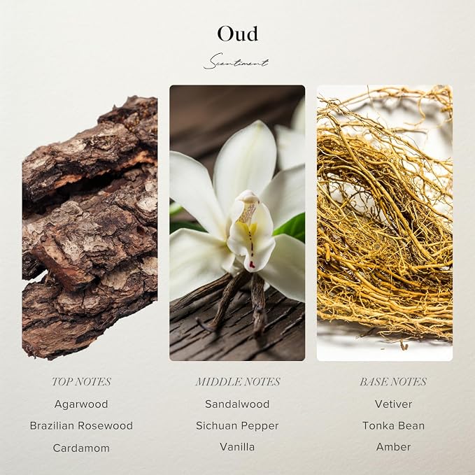Scentiment Oud Eau de Parfum – Agarwood, Spicy Pepper & Warm Woods | Rich, Deep Luxury Unisex Perfume (50 ml / 1.69 Fl Oz)