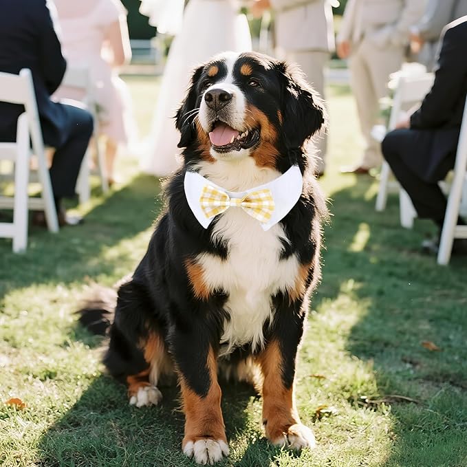 Segarty Dog Bow Tie Neck Girth 16.5-21.2in, Adjustable Yellow Plaid Bowtie Collar for Extra Large Dogs, Tie Tuxedo Comfortable Cotton Pets Grooming Accessory for Formal Wedding Holiday Birthday Party