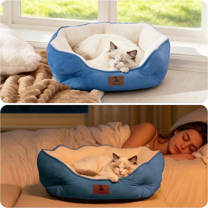 Small Dog Bed for Small Dogs, Cat Beds for Indoor Cats, Pet Bed for Puppy and Kitty, Extra Soft & Machine Washable with Anti-Slip & Water-Resistant Oxford Bottom, Light Blue, 20 inches