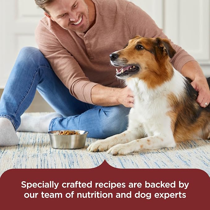 Nutrish Dry Dog Food, Beef, Pea & Brown Rice, 13 lb. Bag (Rachael Ray) | Complete & Balanced Nutrition for Adult Dogs, No Artificial Flavors, Veterinarian Reviewed Formula