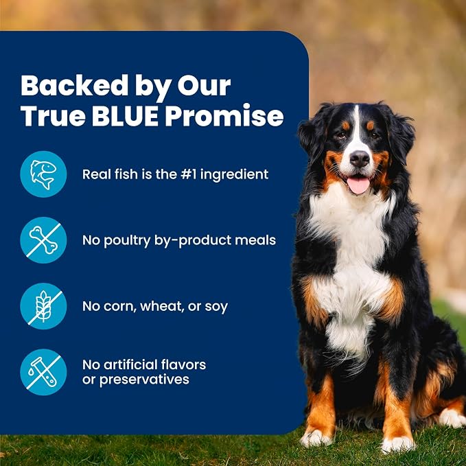 Blue Buffalo Life Protection Formula Fish Adult Dry Dog Food, 15 lb | Real Whitefish #1 Ingredient, Supports Immunity with Antioxidant-Rich LifeSource Bits, Promotes Healthy Muscle Development